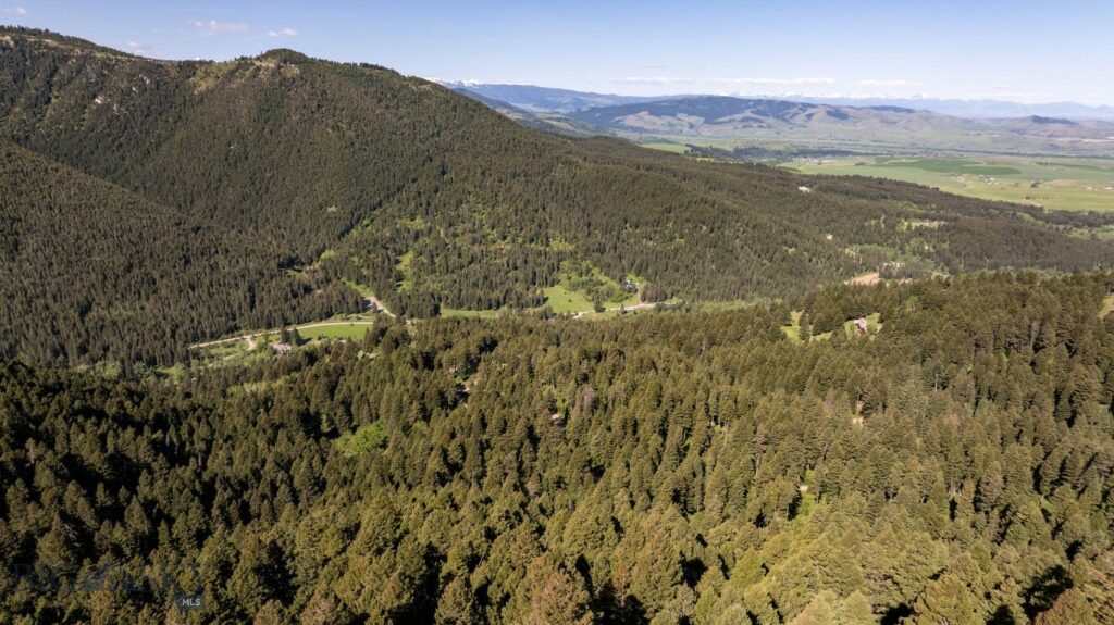 3600 Cottonwood Ranch Trail, Bozeman MT 59718