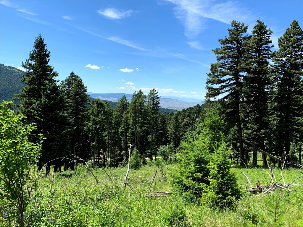 3600 Cottonwood Ranch Trail, Bozeman MT 59718
