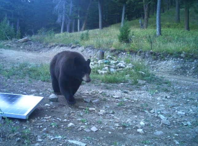 3600 Cottonwood Ranch Trail, Bozeman MT 59718