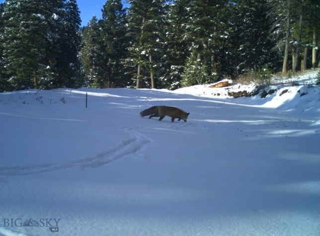 3600 Cottonwood Ranch Trail, Bozeman MT 59718