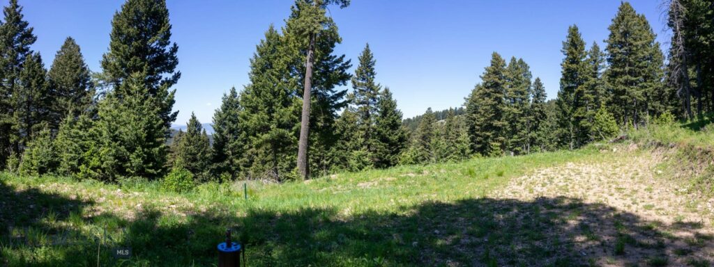 3600 Cottonwood Ranch Trail, Bozeman MT 59718