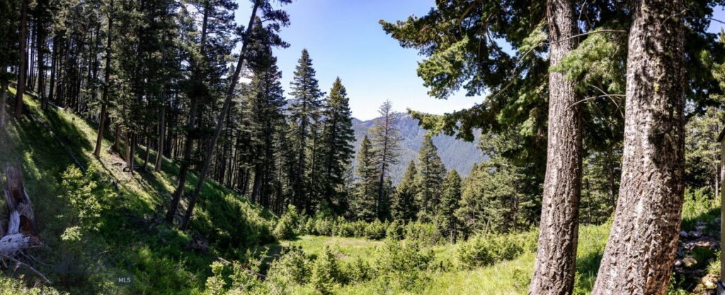 3600 Cottonwood Ranch Trail, Bozeman MT 59718