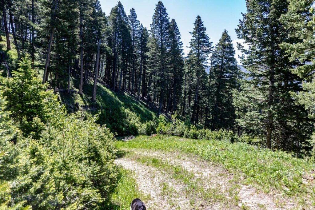 3600 Cottonwood Ranch Trail, Bozeman MT 59718