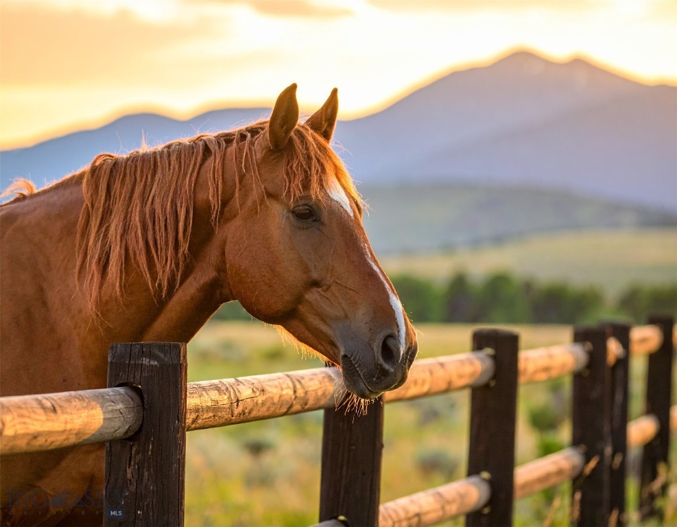 370 Star Ridge Road, Bozeman MT 59715