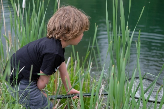 370 Star Ridge Road, Bozeman MT 59715