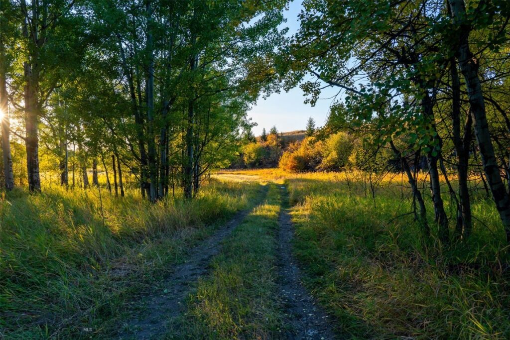 370 Star Ridge Road, Bozeman MT 59715