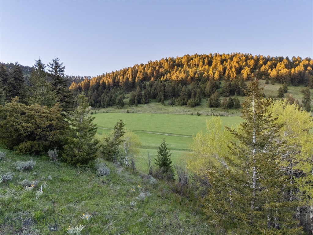 373 Rockhill Road, Bozeman MT 59715
