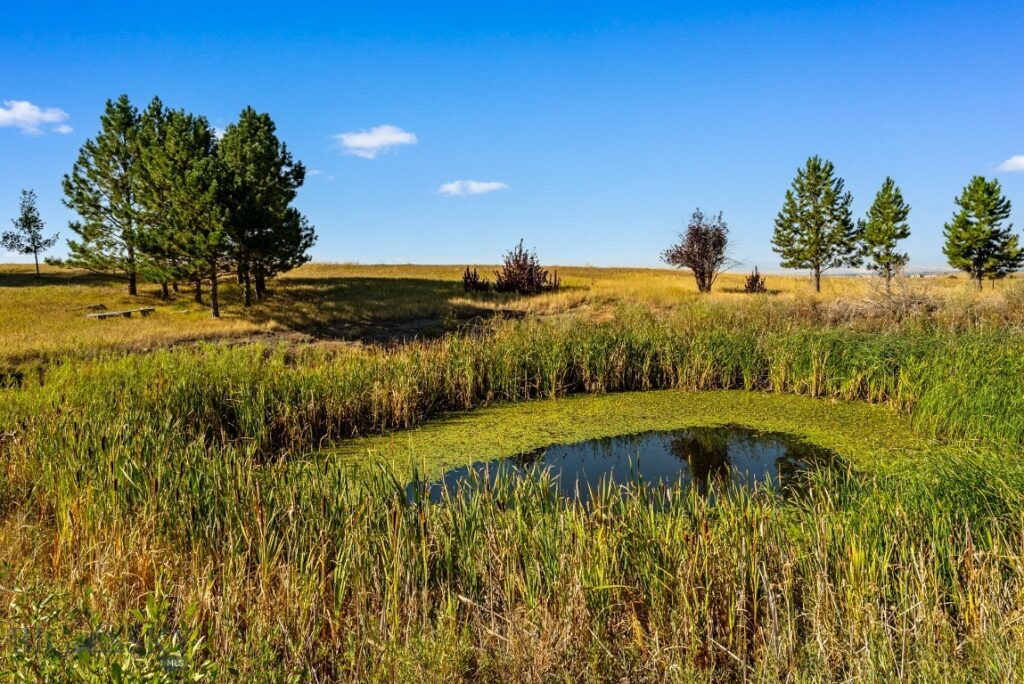 3753 Reese Creek Road, Belgrade MT 59714
