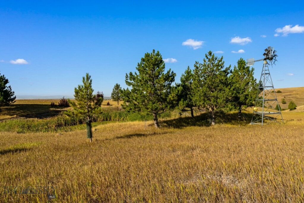 3753 Reese Creek Road, Belgrade MT 59714