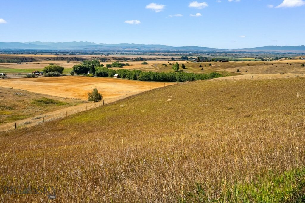 3753 Reese Creek Road, Belgrade MT 59714