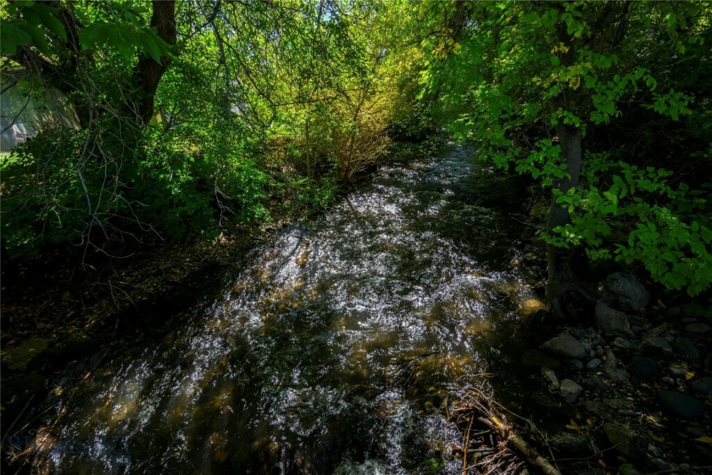 406 E Olive Street, Bozeman MT 59715