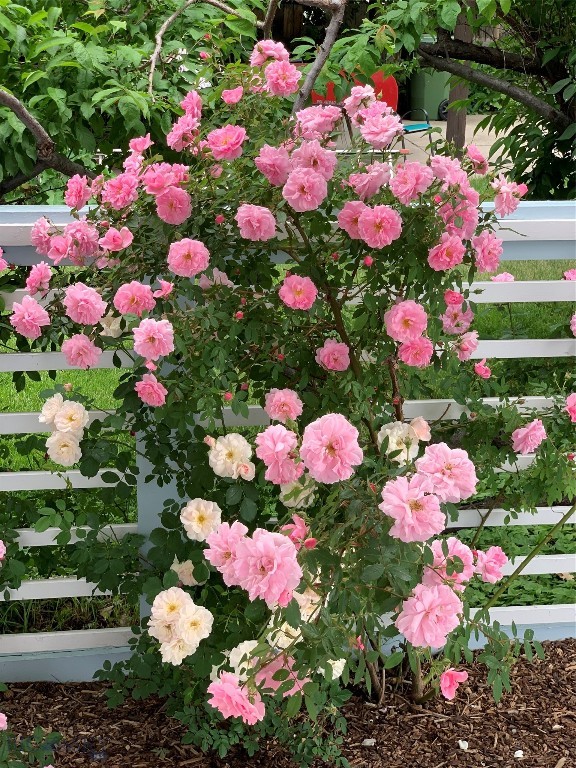 411 S 12th Street, Livingston MT 59047