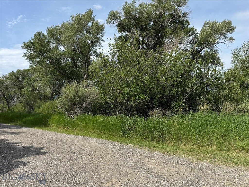 42 Strong Ln, Livingston MT 59047