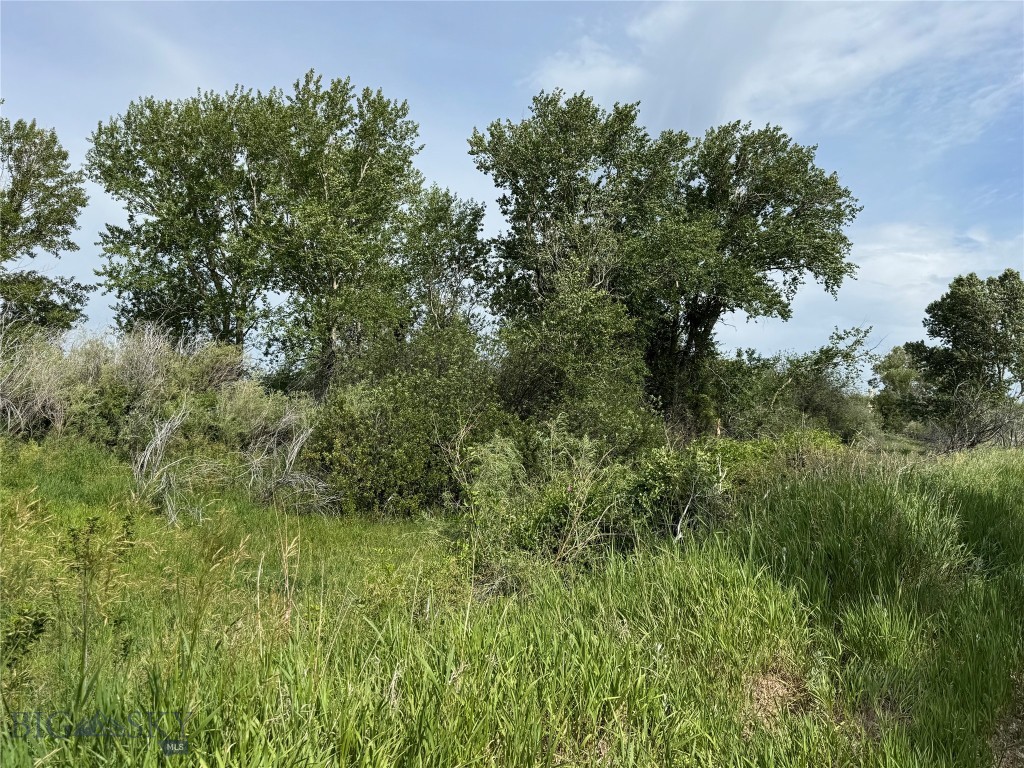 42 Strong Ln, Livingston MT 59047