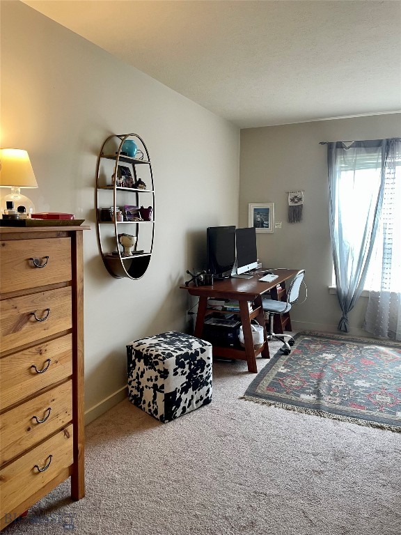 4277 W Babcock Street, Bozeman MT 59718