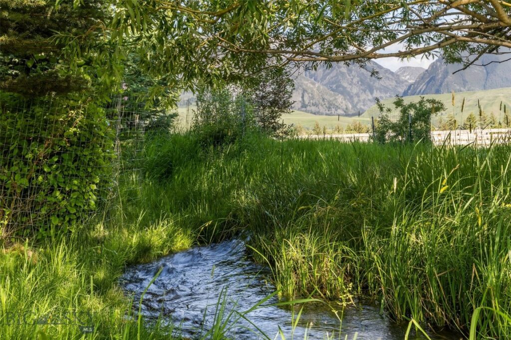 43 Cutthroat Lane, Livingston MT 59047
