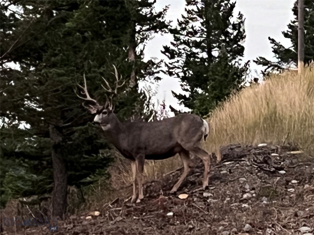44 Game Trail, Bozeman MT 59715
