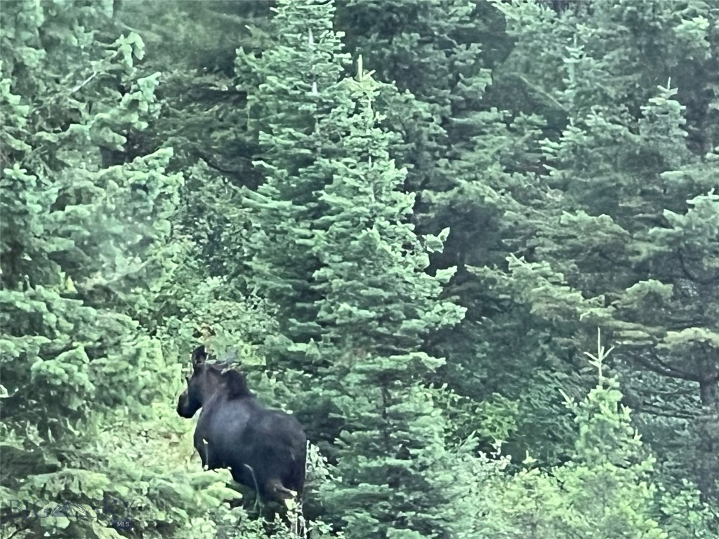 44 Game Trail, Bozeman MT 59715