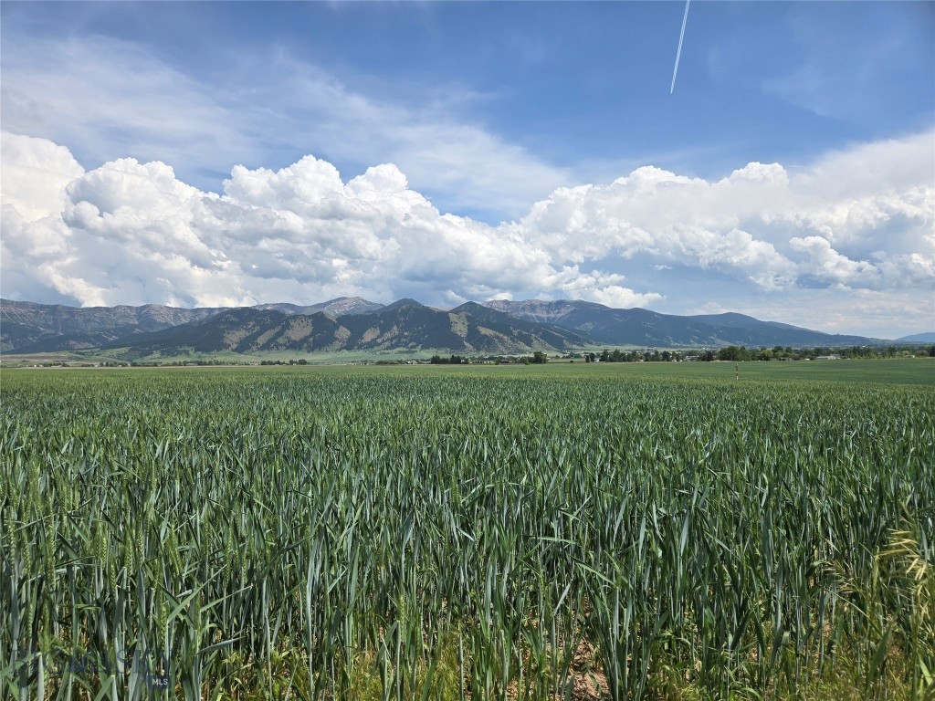4468 Wes Davis Road, Belgrade MT 59714