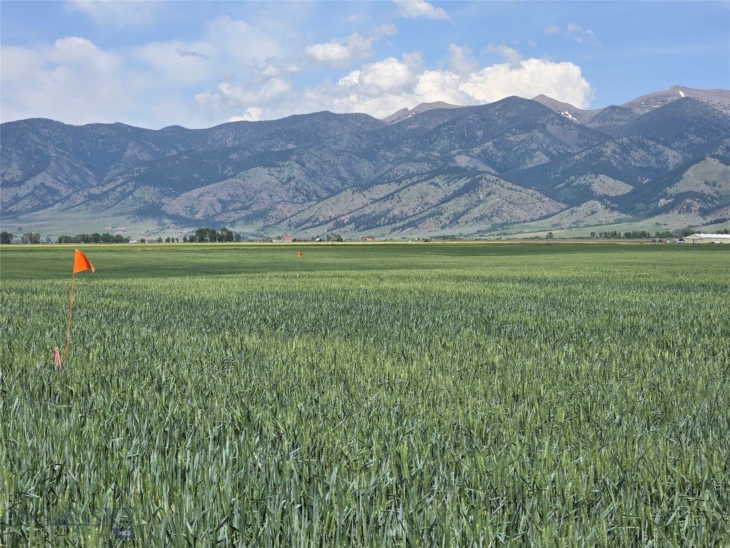 4468 Wes Davis Road, Belgrade MT 59714