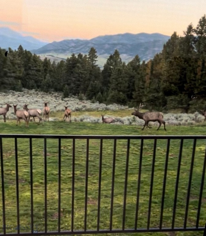 449 Minni Hall Road, Bozeman MT 59715