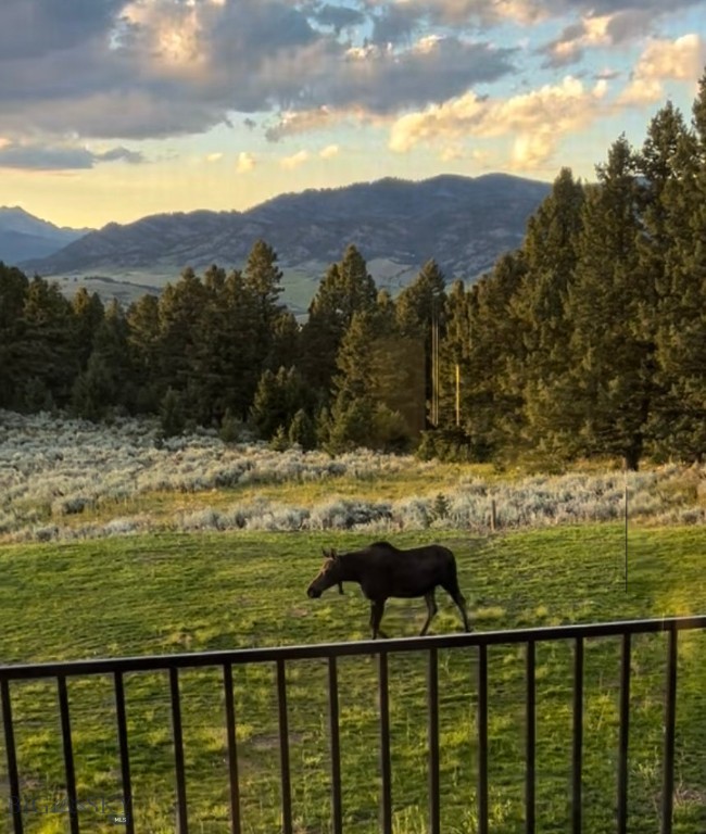 449 Minni Hall Road, Bozeman MT 59715