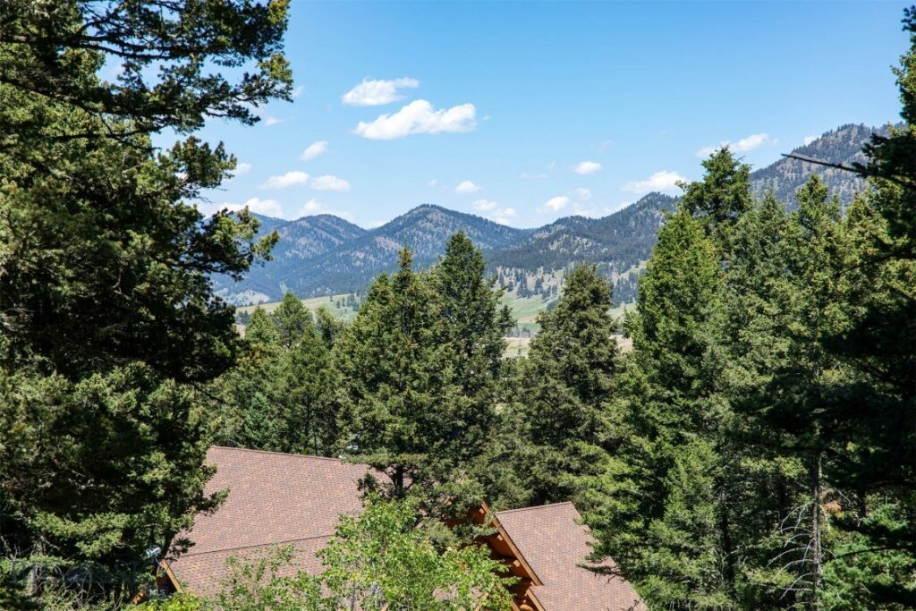 4702 Meadow Lane, Bozeman MT 59715