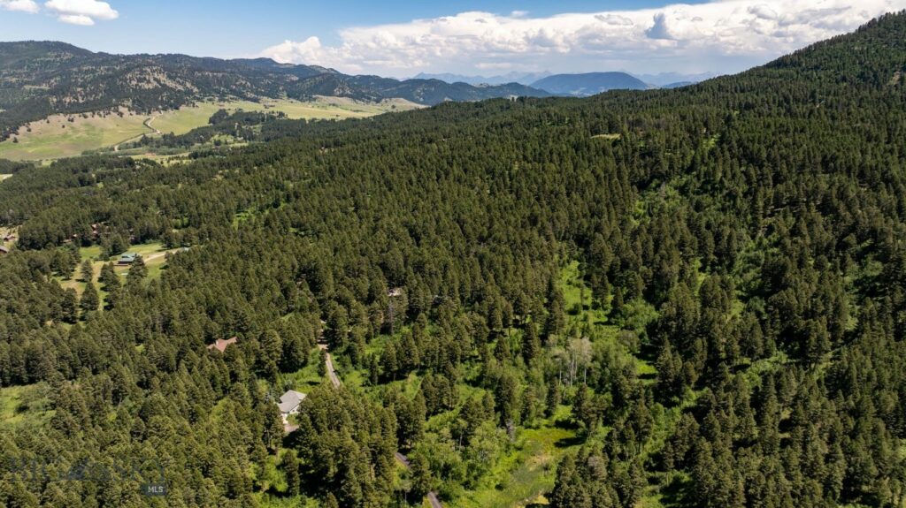 4702 Meadow Lane, Bozeman MT 59715