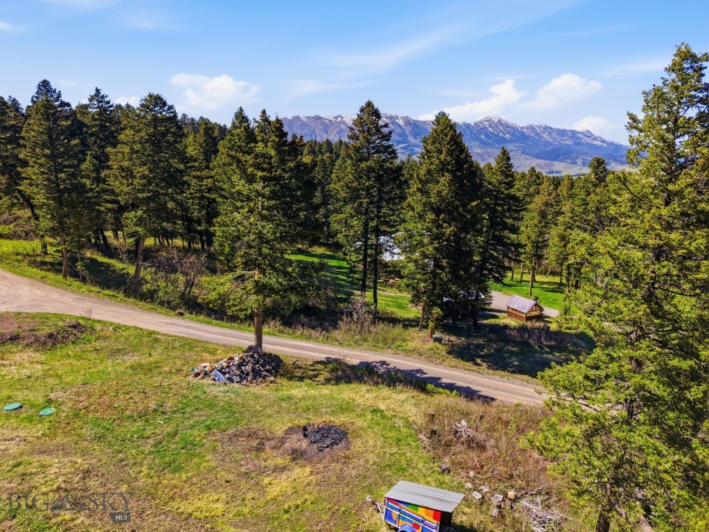 4754 Meadow Lane, Bozeman MT 59715