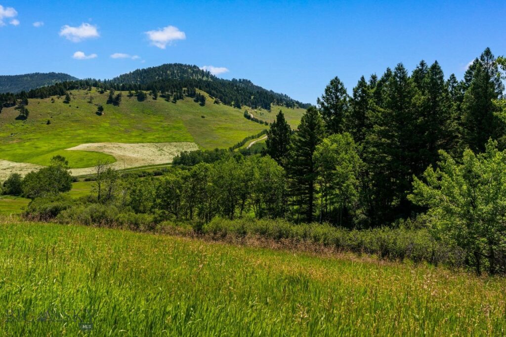 4861 Jackson Creek Road, Bozeman MT 59715