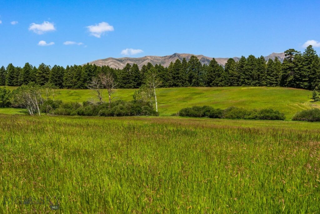 4861 Jackson Creek Road, Bozeman MT 59715