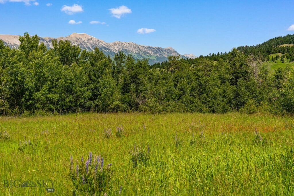 4861 Jackson Creek Road, Bozeman MT 59715