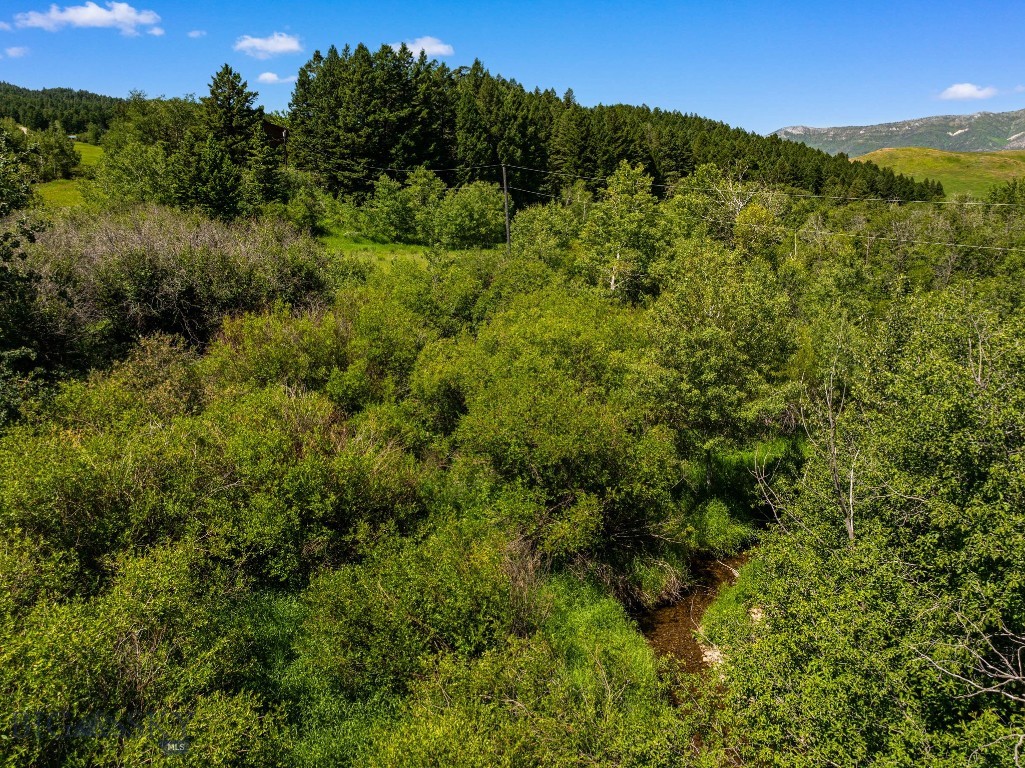 4861 Jackson Creek Road, Bozeman MT 59715