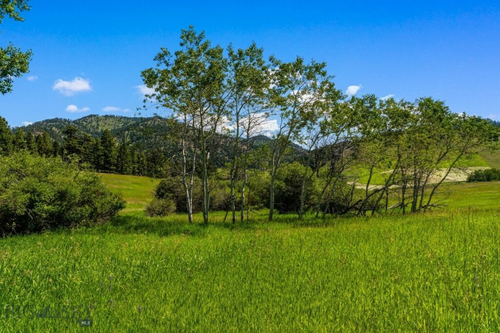 4861 Jackson Creek Road, Bozeman MT 59715