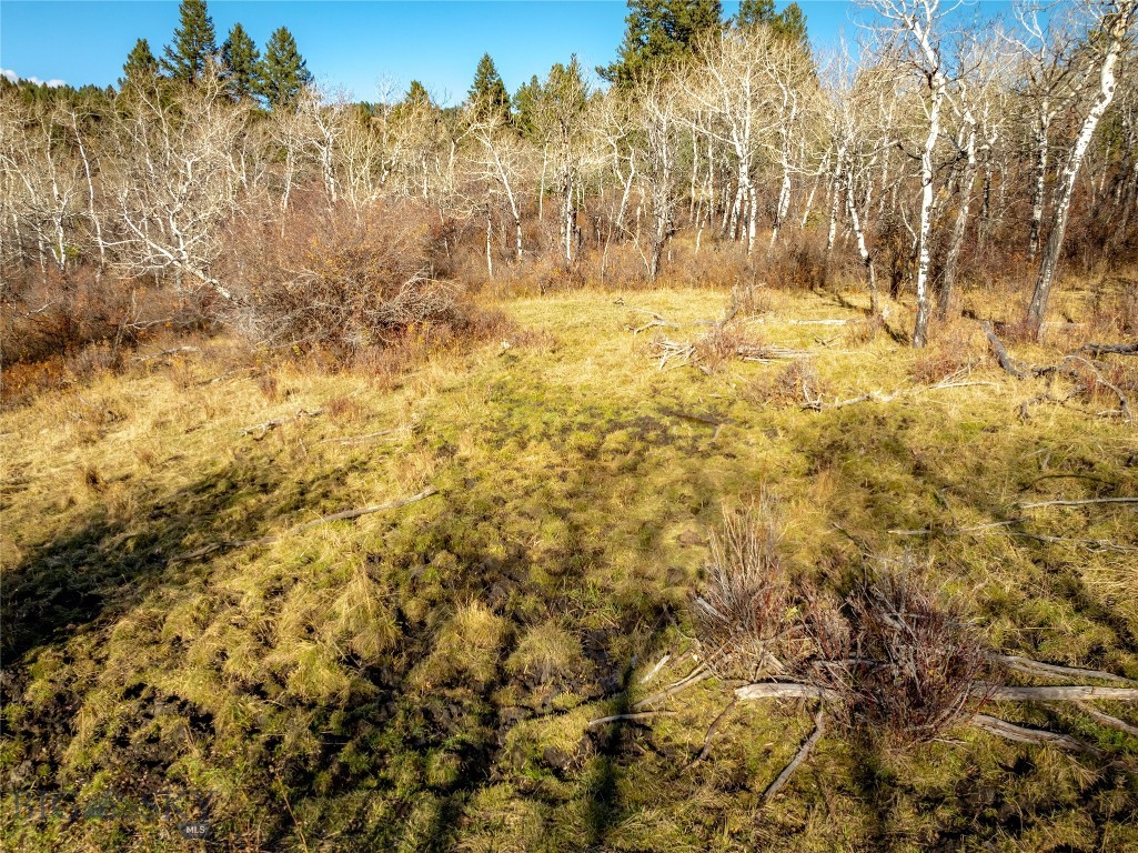 495 Moffit Gulch Road, Bozeman MT 59715