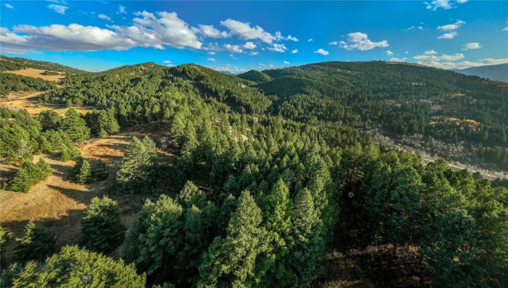 495 Moffit Gulch Road, Bozeman MT 59715