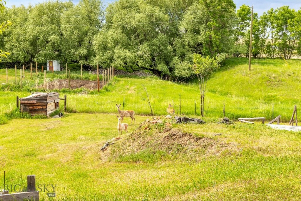 5 Old Clyde Park Road, Livingston MT 59047