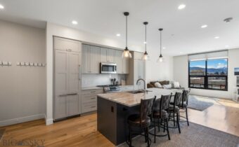 5 W Mendenhall, Bozeman MT 59715