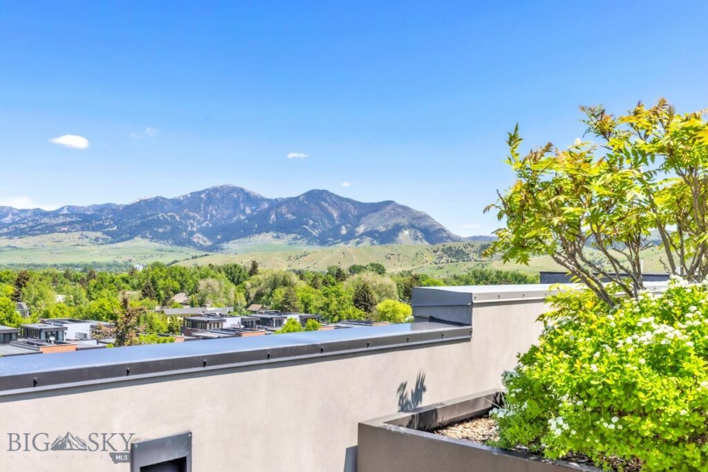 5 W Mendenhall, Bozeman MT 59715
