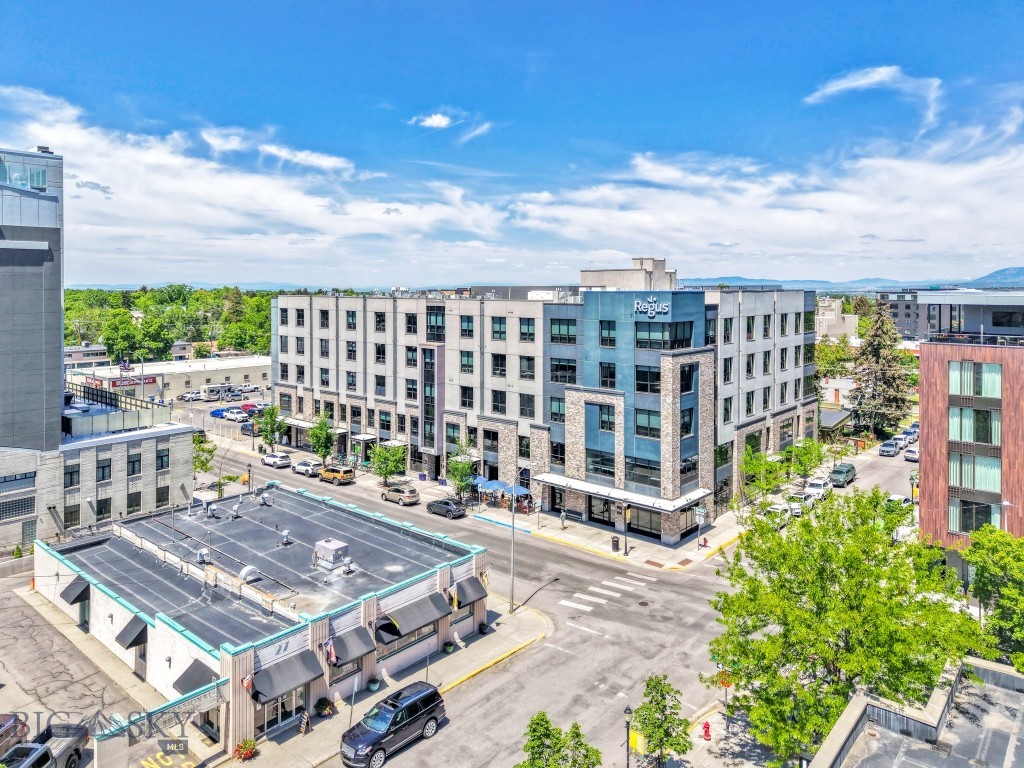 5 W Mendenhall, Bozeman MT 59715