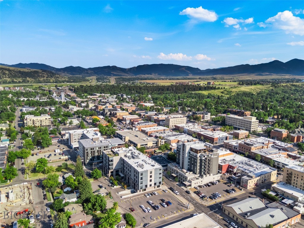 5 W Mendenhall, Bozeman MT 59715
