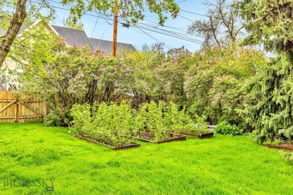 503 W College Street, Bozeman MT 59715