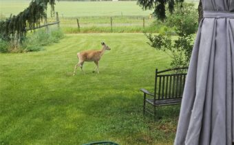 5321 E Gallatin, Belgrade MT 59714