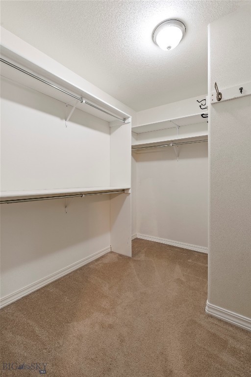 56 Poplar Drive, Bozeman MT 59718