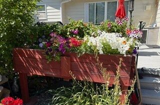 56 Poplar Drive, Bozeman MT 59718