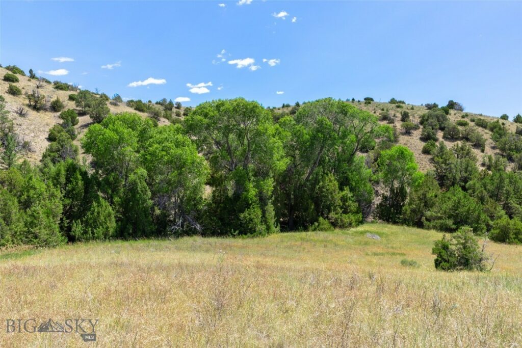 5835 Spaulding Bridge Road, Belgrade MT 59714