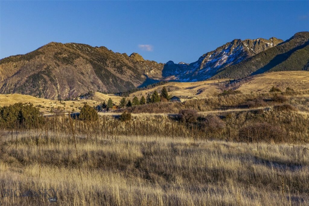 60 Rocky Hollow Trail, Livingston MT 59047