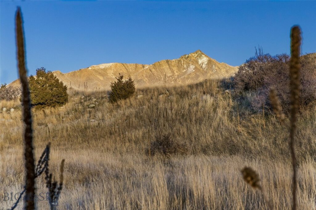 60 Rocky Hollow Trail, Livingston MT 59047