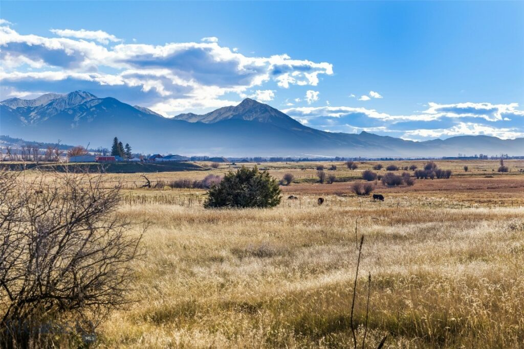 60 Rocky Hollow Trail, Livingston MT 59047