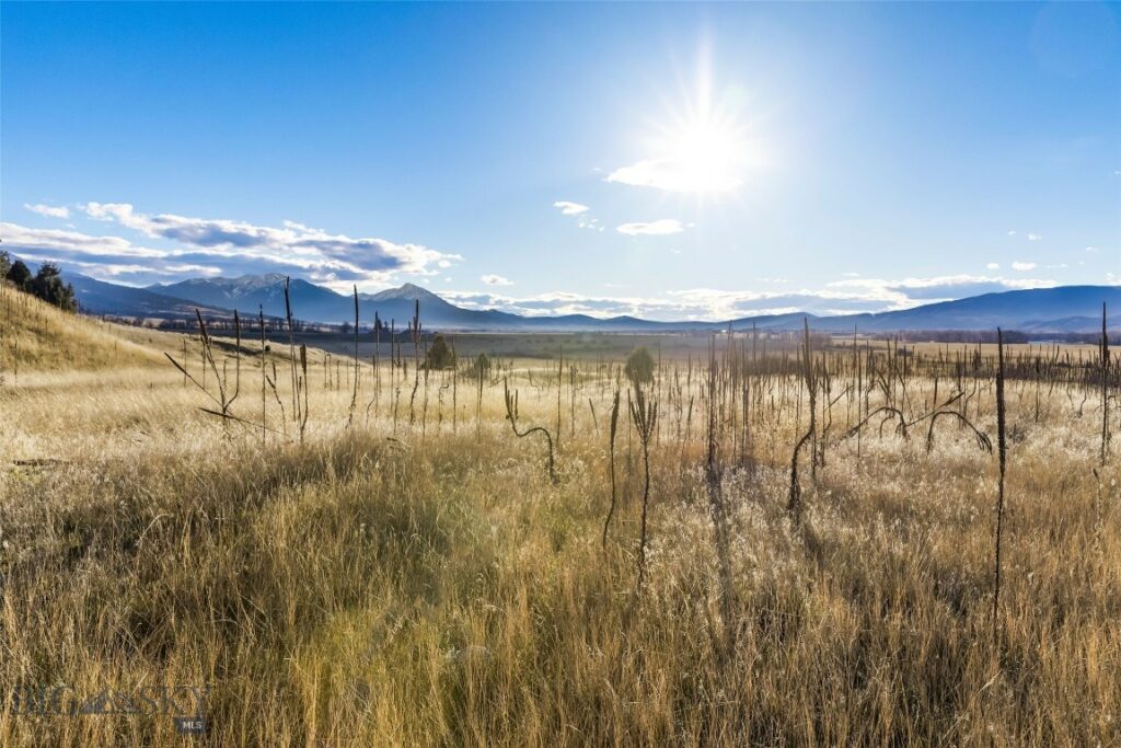 60 Rocky Hollow Trail, Livingston MT 59047